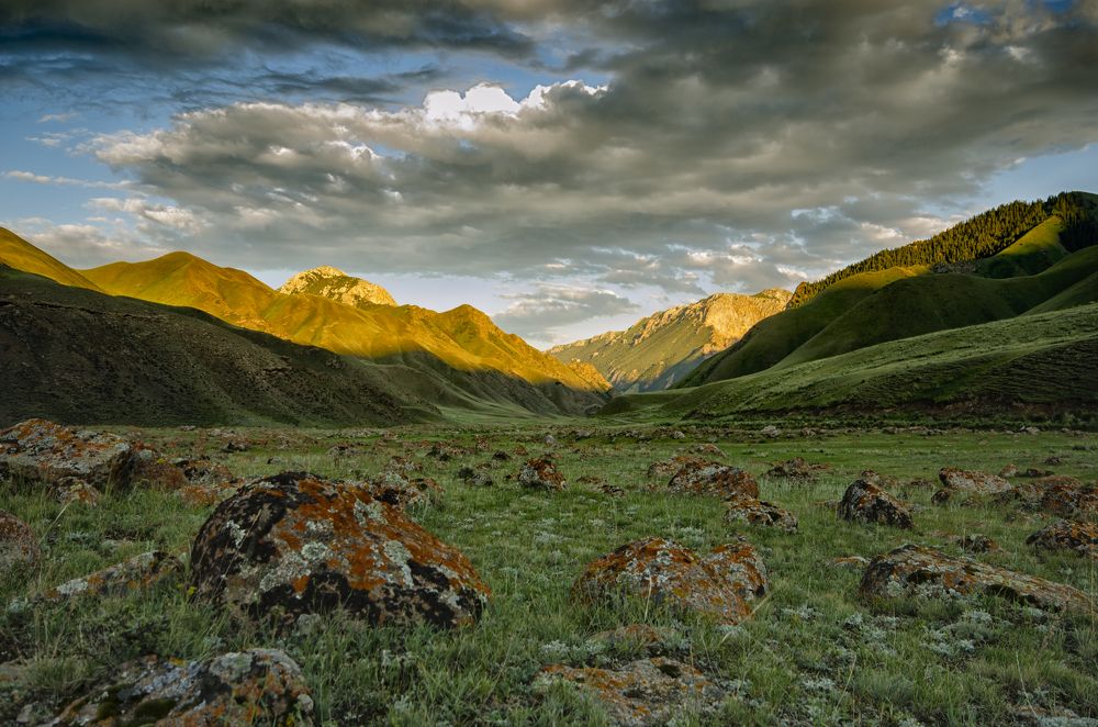 Photograph by Александр Леньков