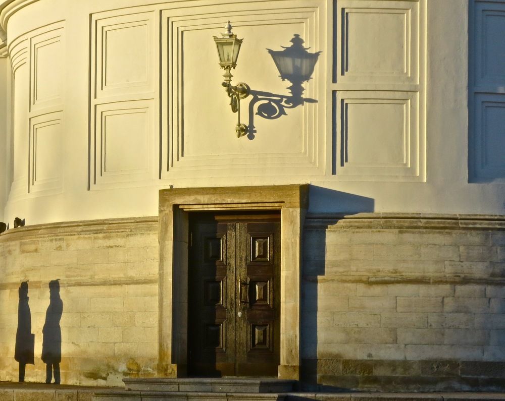 Из жизни теней