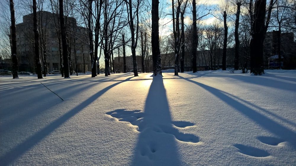 Photograph by Флорис Закреев
