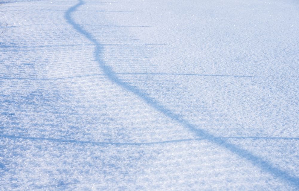 Photograph by Игорь Кляхин