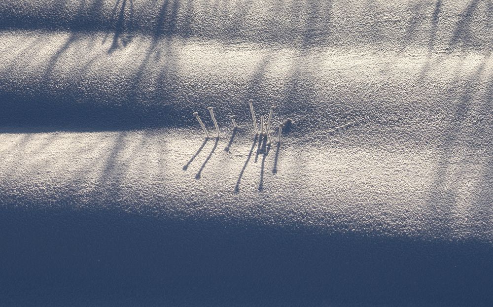 Photograph by Игорь Кляхин