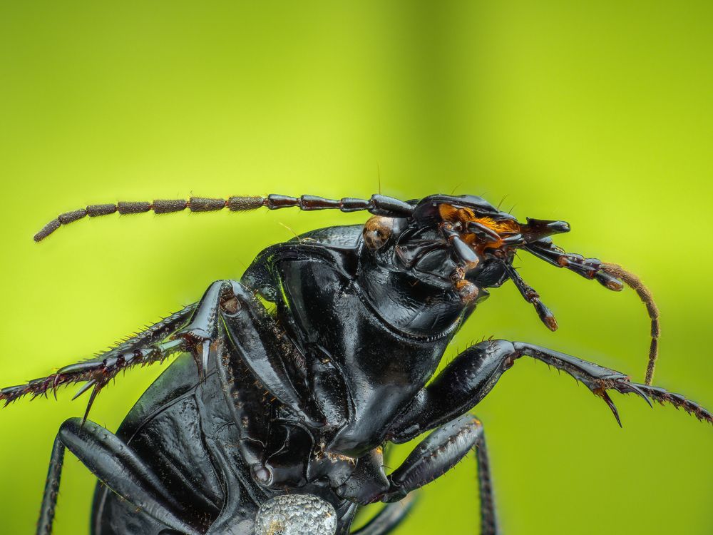 Photograph by Photons Reflectitur