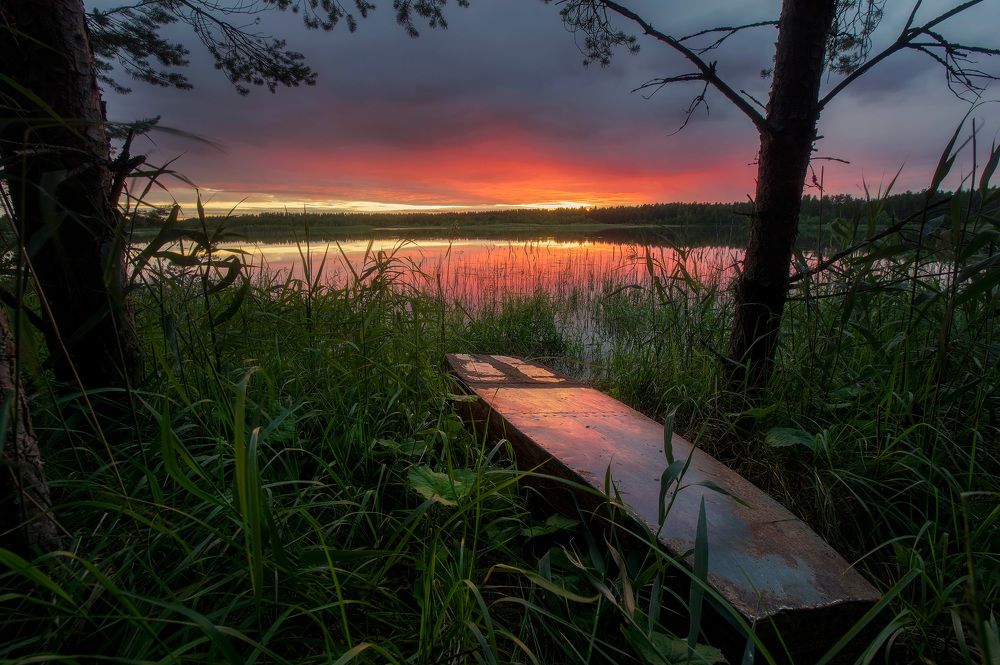 В густой траве