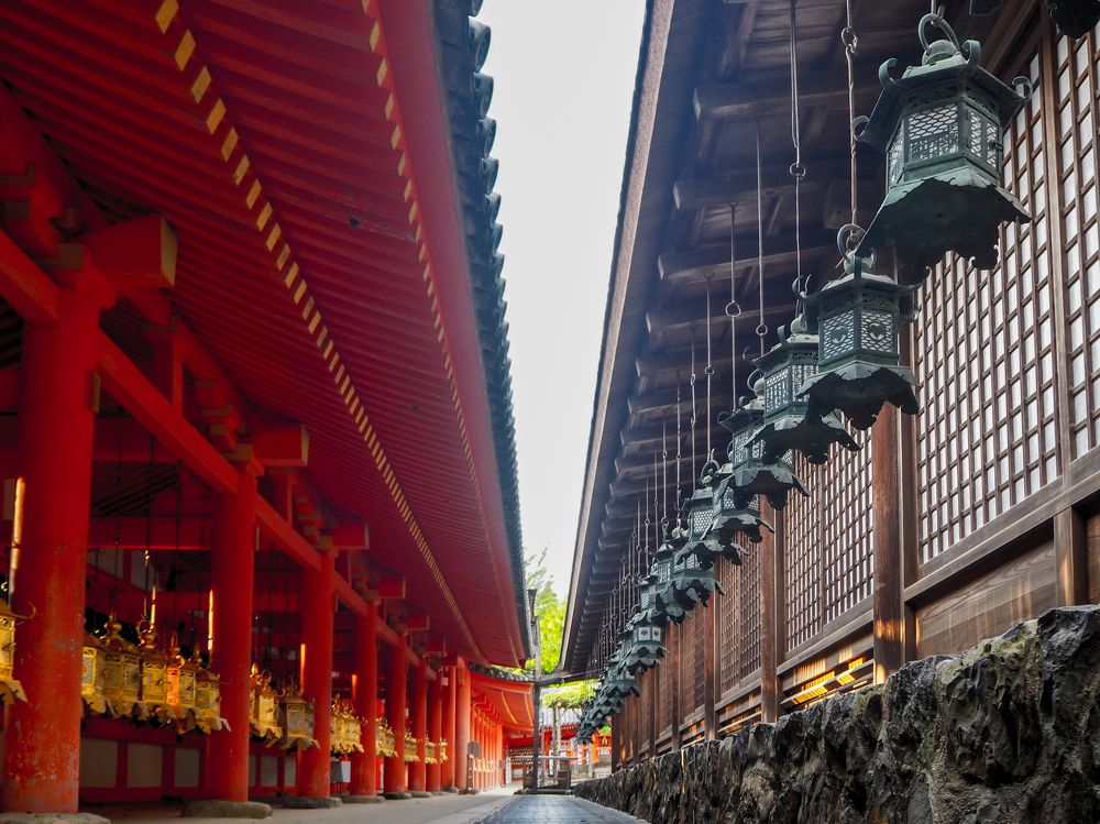 Photograph by Photons Reflectitur