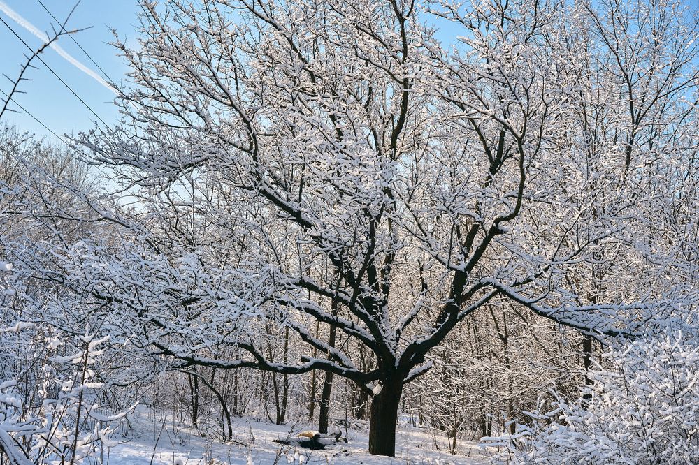 Photograph by Лариса Процкова