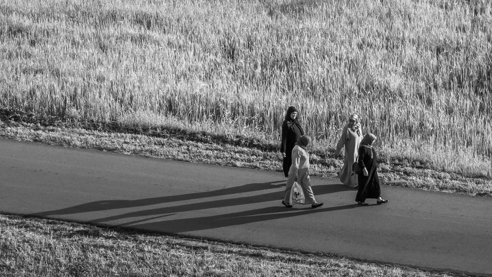 Comming home from the market.