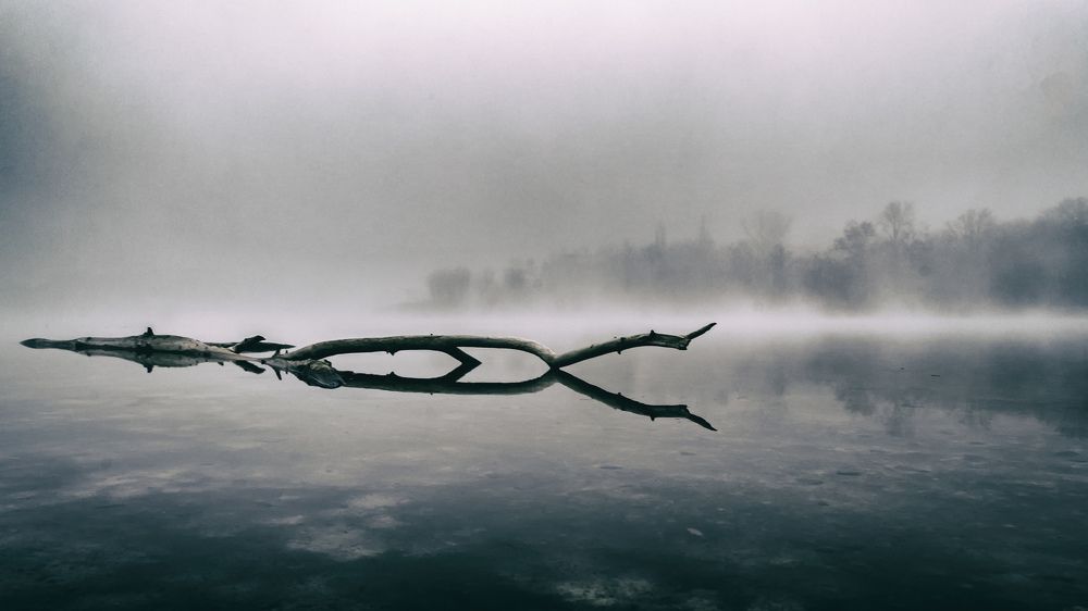 Photograph by Анатолий Коряк