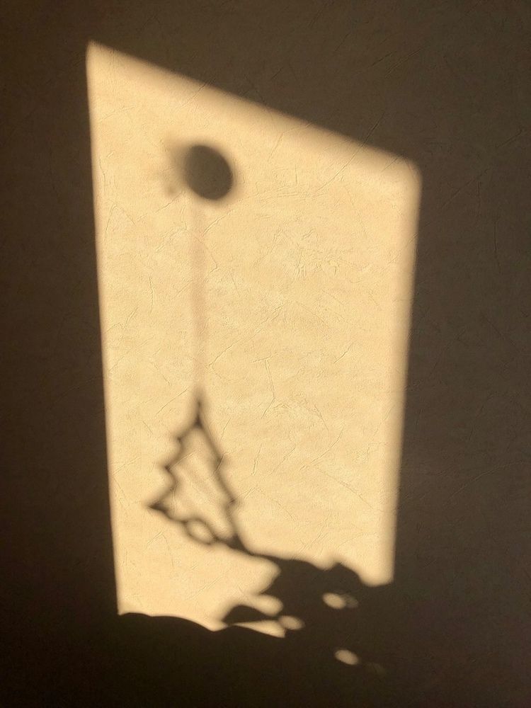 Тень праздника