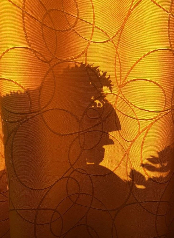 Тень от цветов