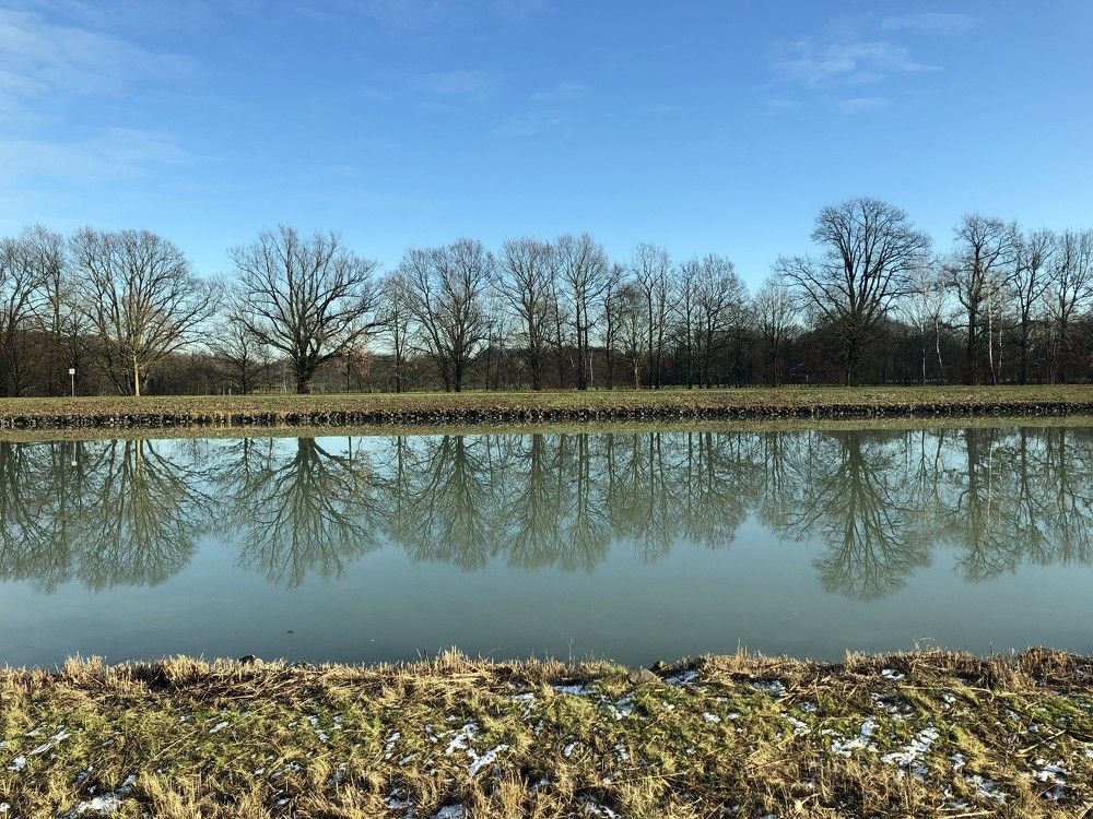 Зимний солнечный день