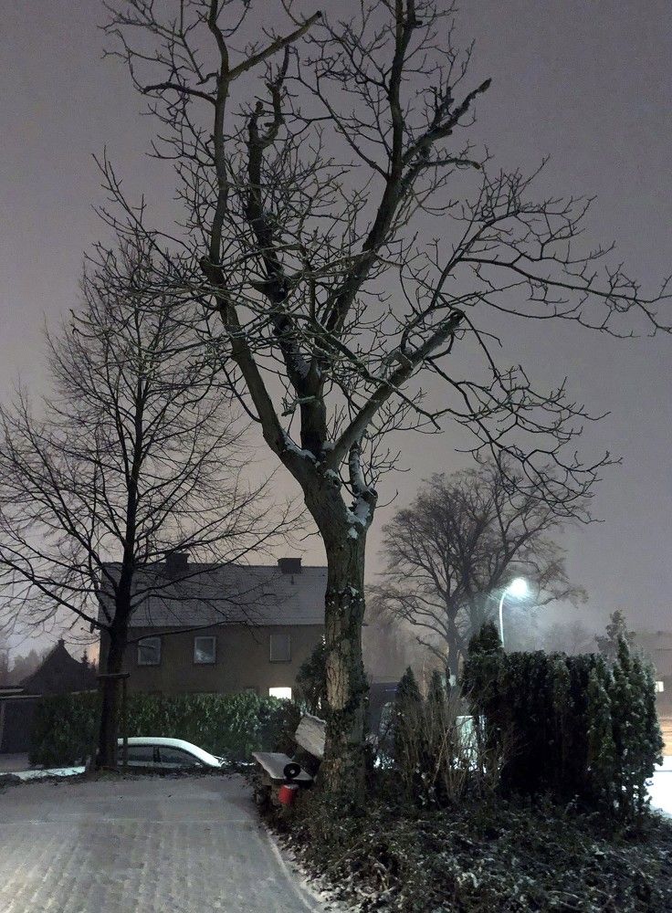 Зимний вечер