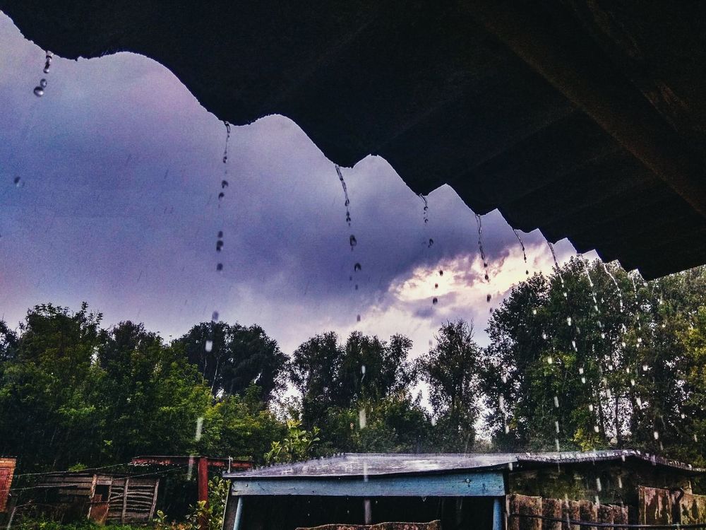 Photograph by Юлия Хоменко