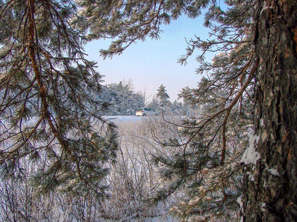 На зимней дороге