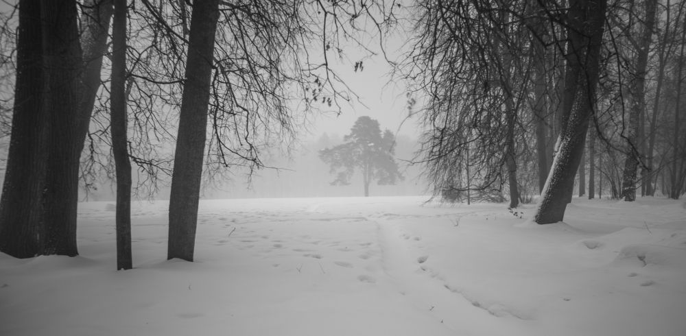 Зима в Царицыно