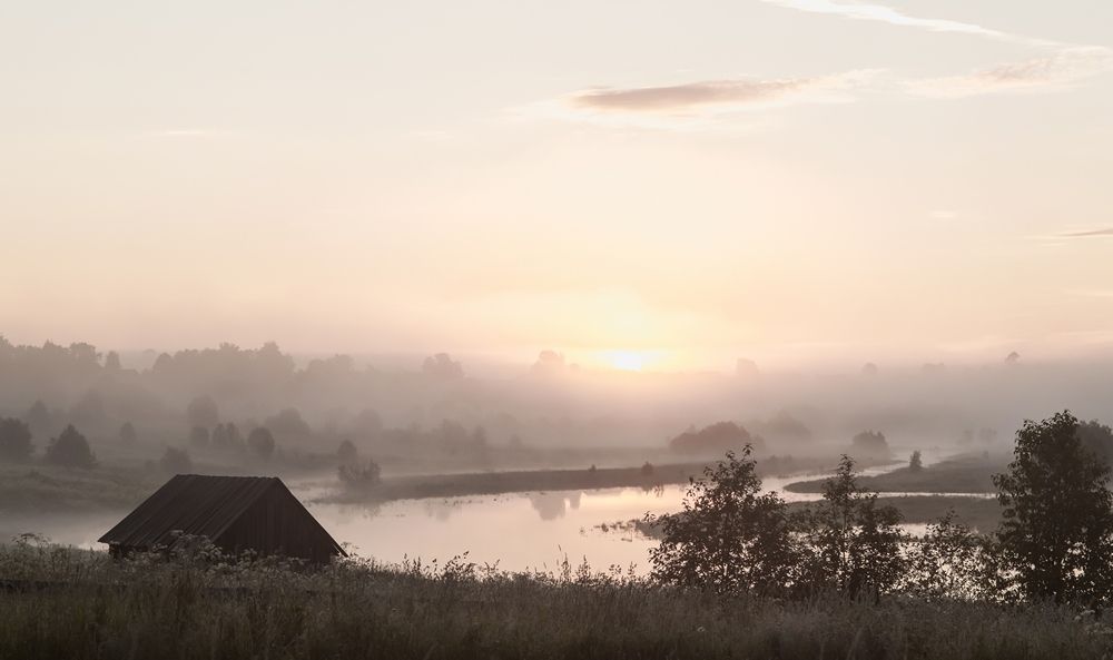 Утро туманное