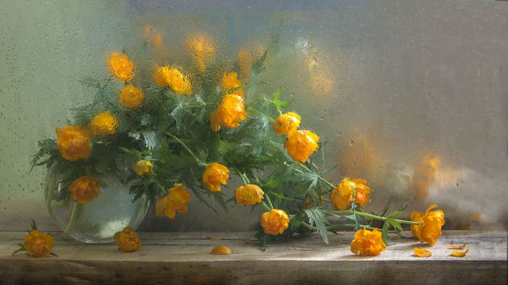 жарки- огоньки