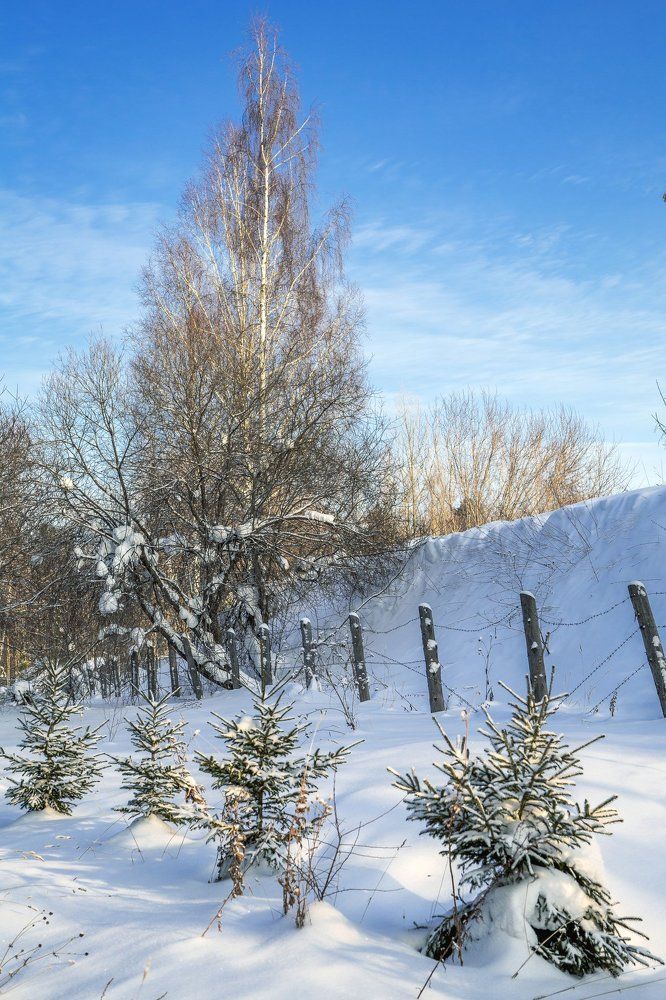 Зимний пейзаж.