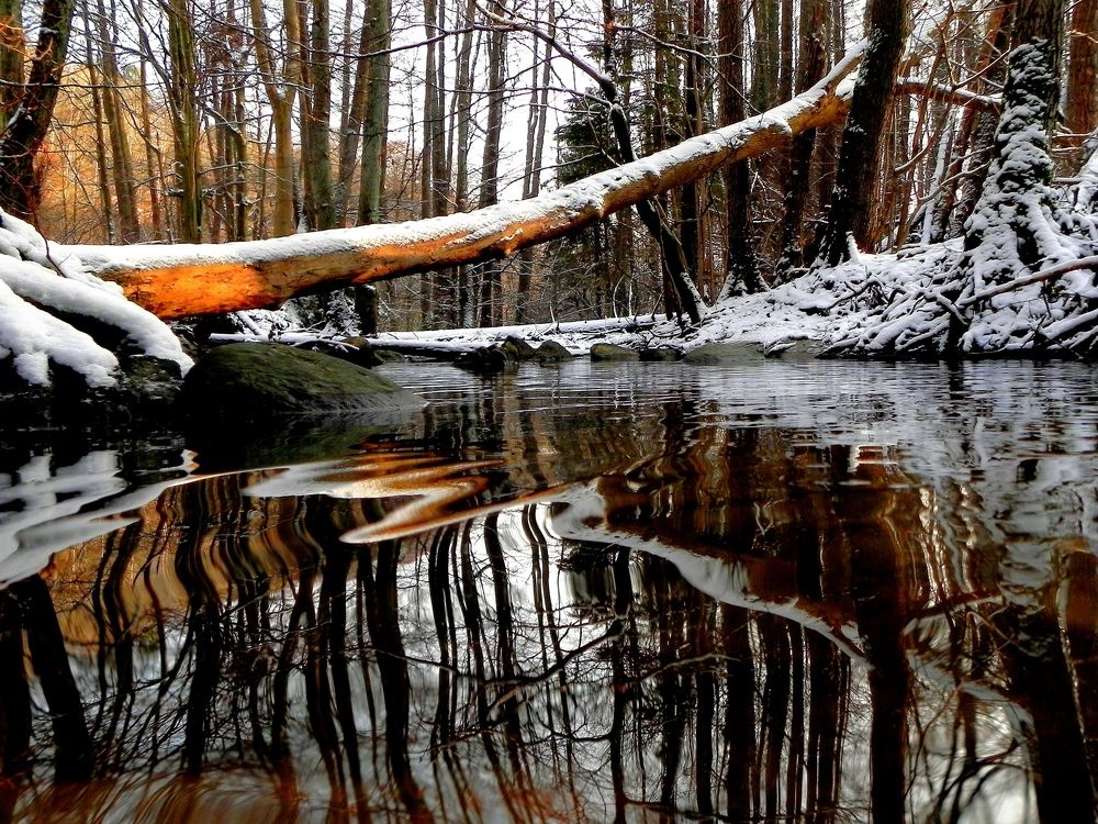 winter season on the river