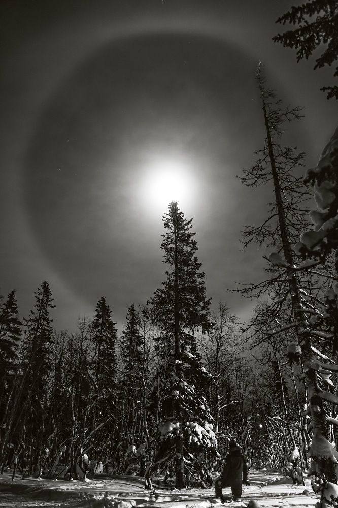 Лунное гало