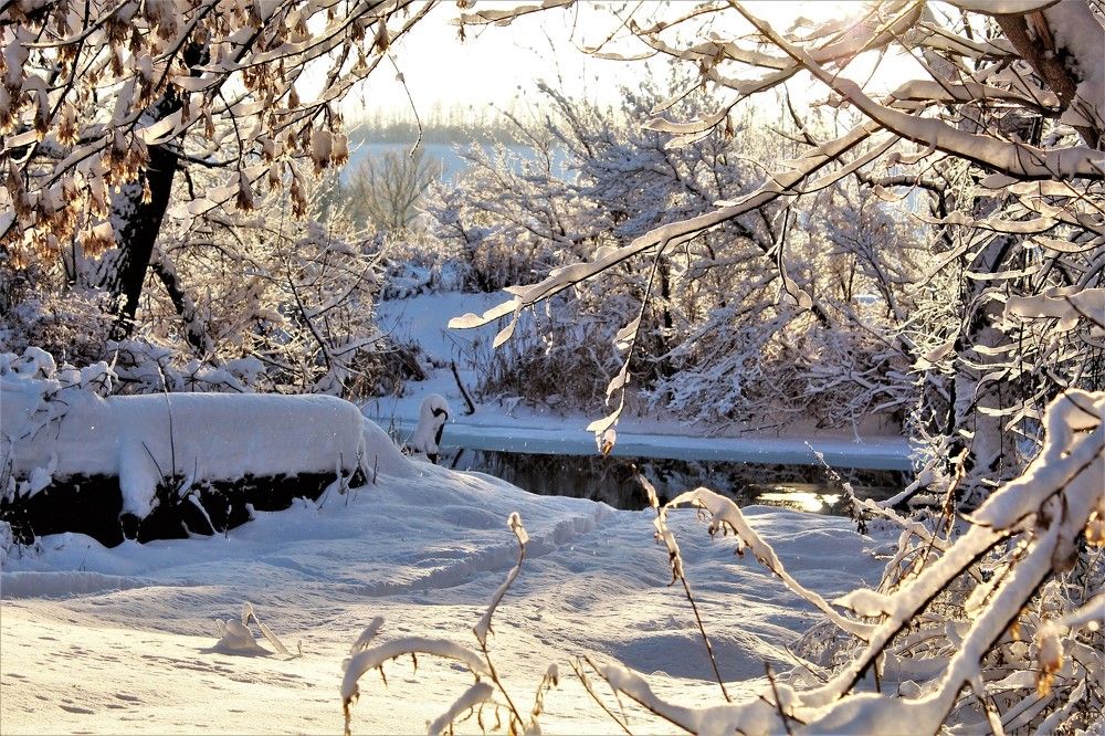 "Зимняя сказка"