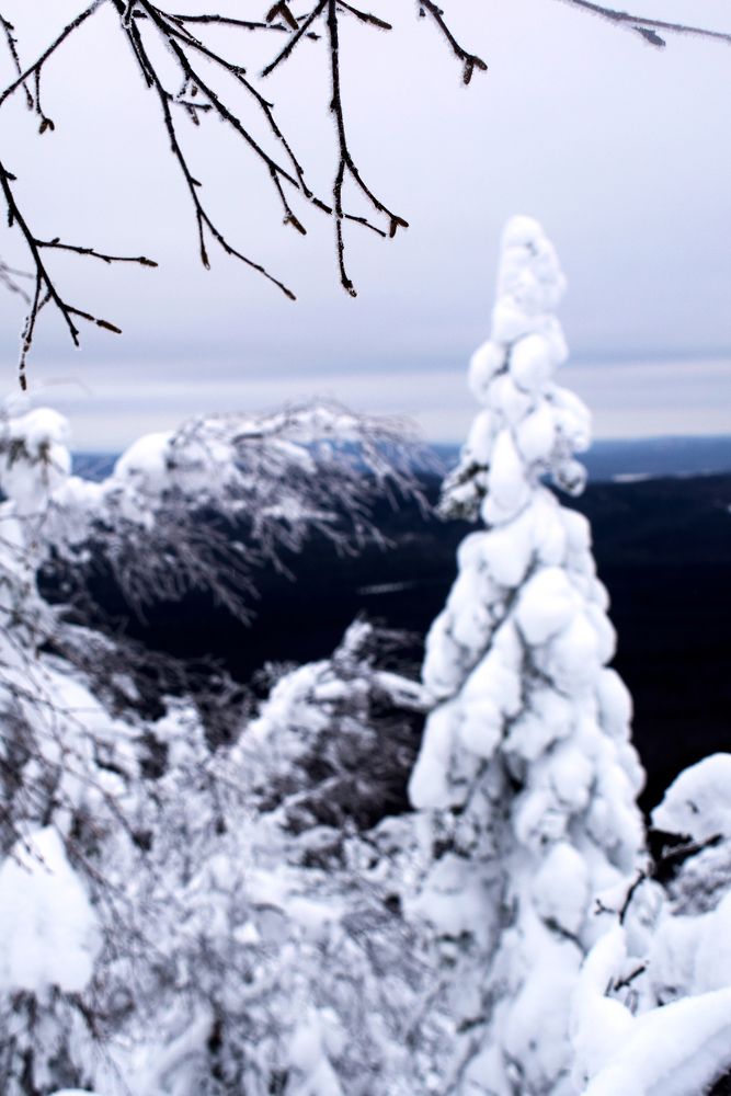 Снежная шуба