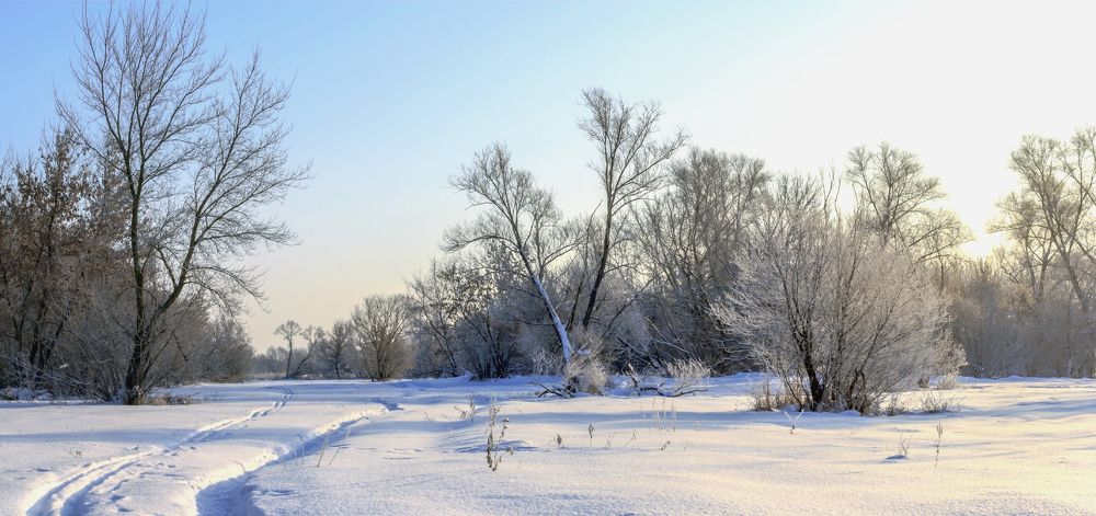 Зимним утром..