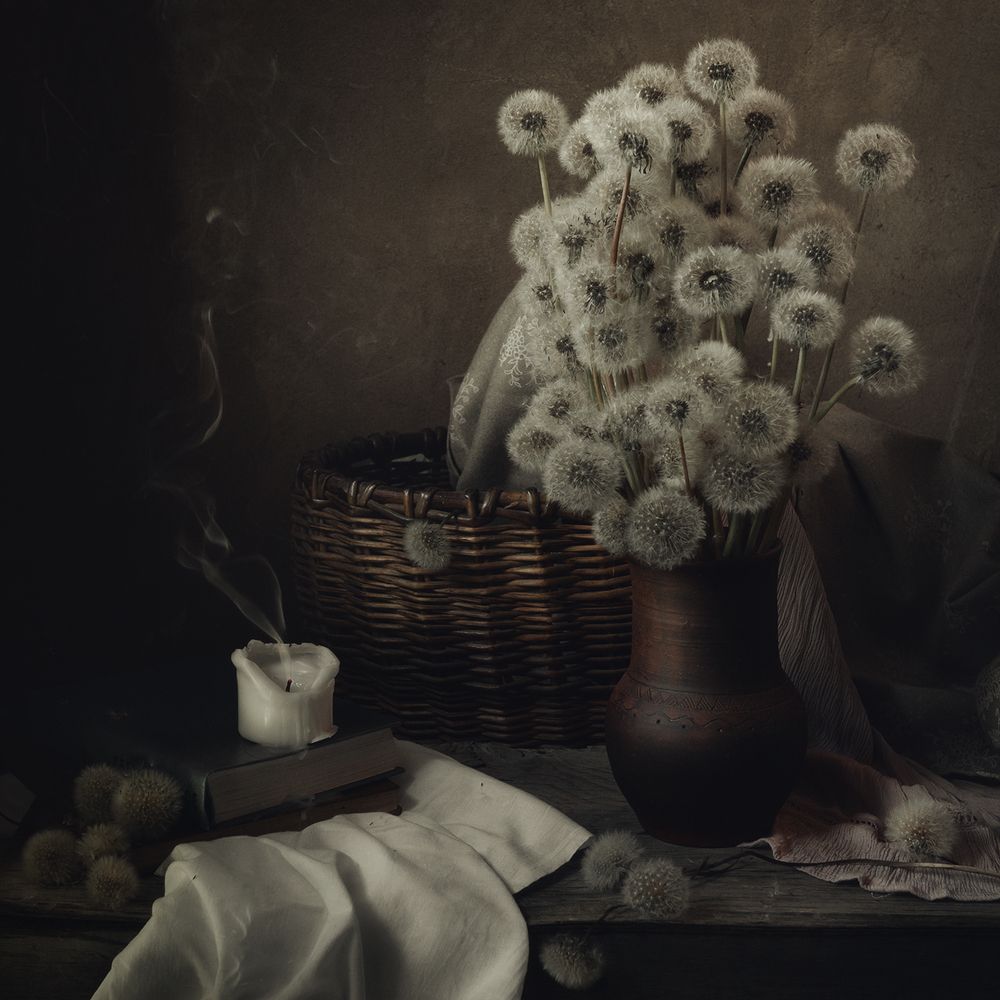 Одуванчики