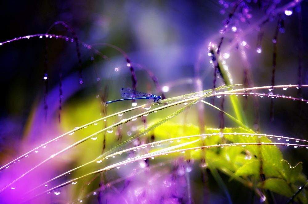 Photograph by Сергей Клапишевский