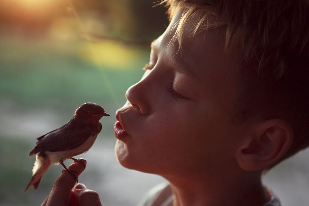 Пернатый друг