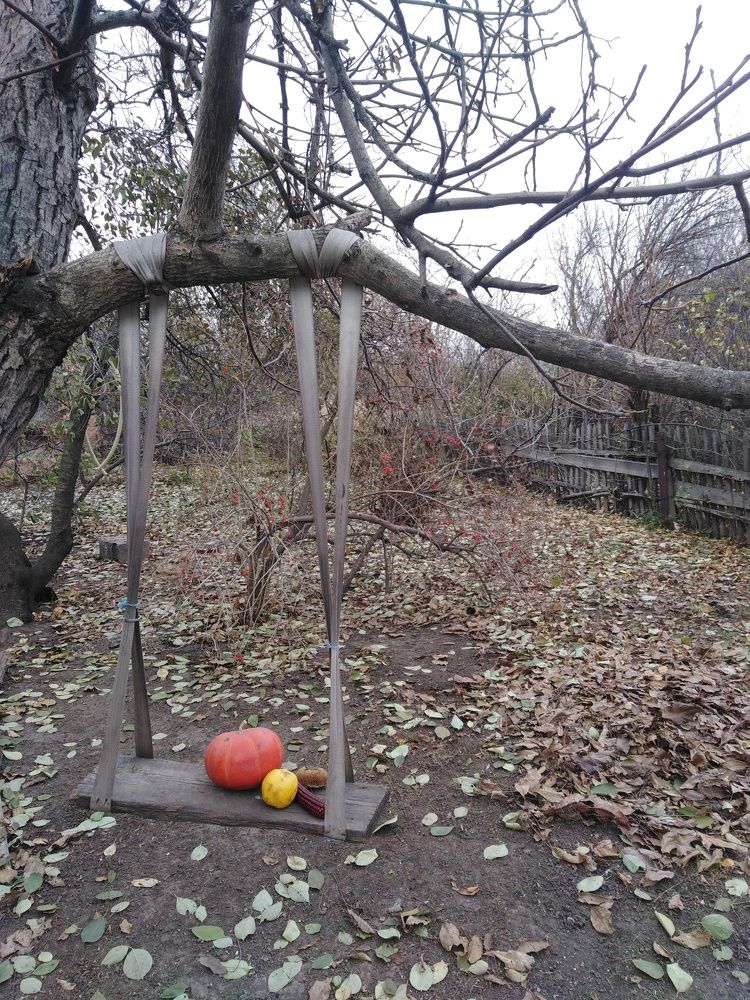 Родительский двор