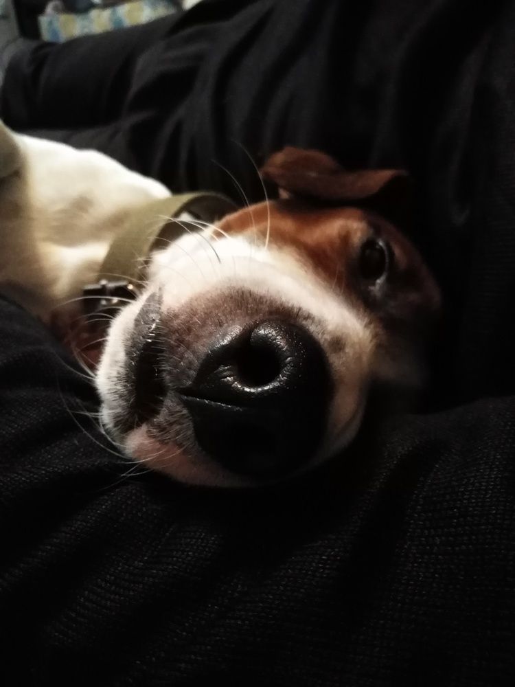 Беспечность