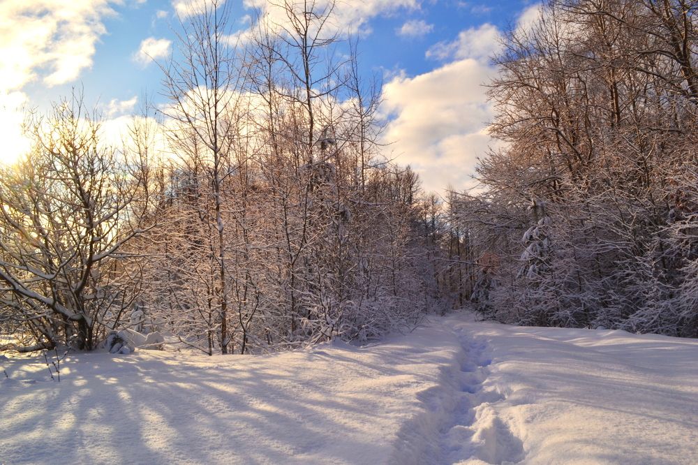 тропинка из детства