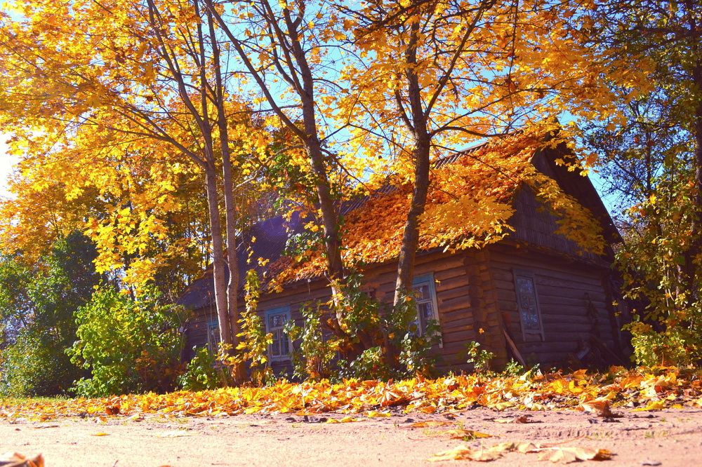 домик у дороги