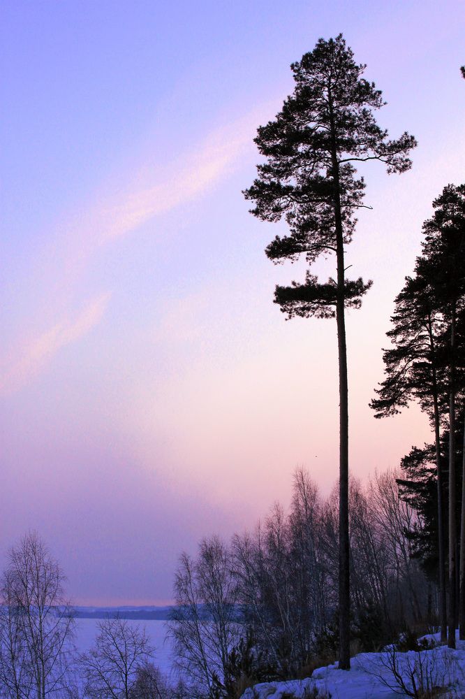 Photograph by Елена Ефремычева