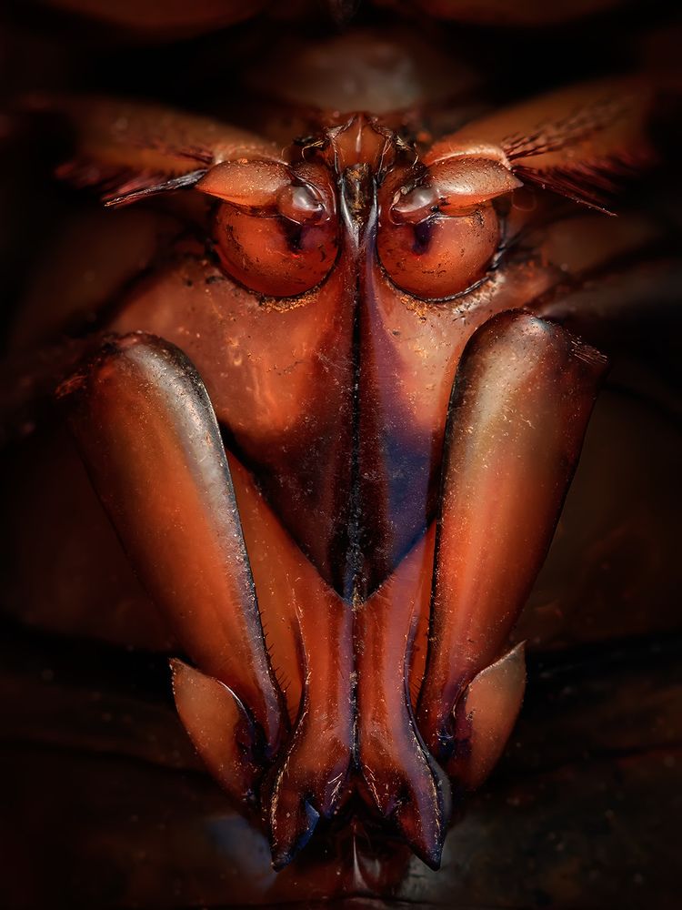 Страшная маска