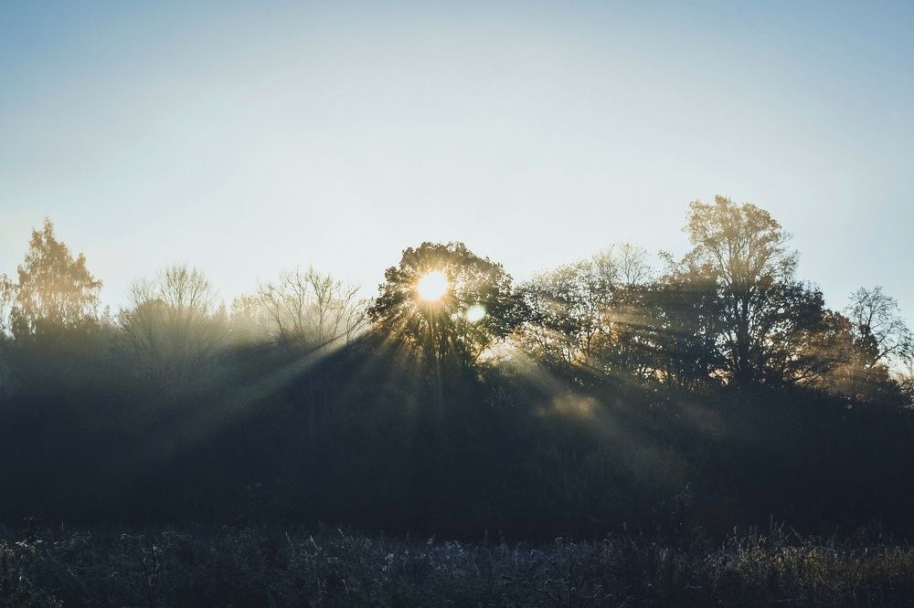 Утренние лучи