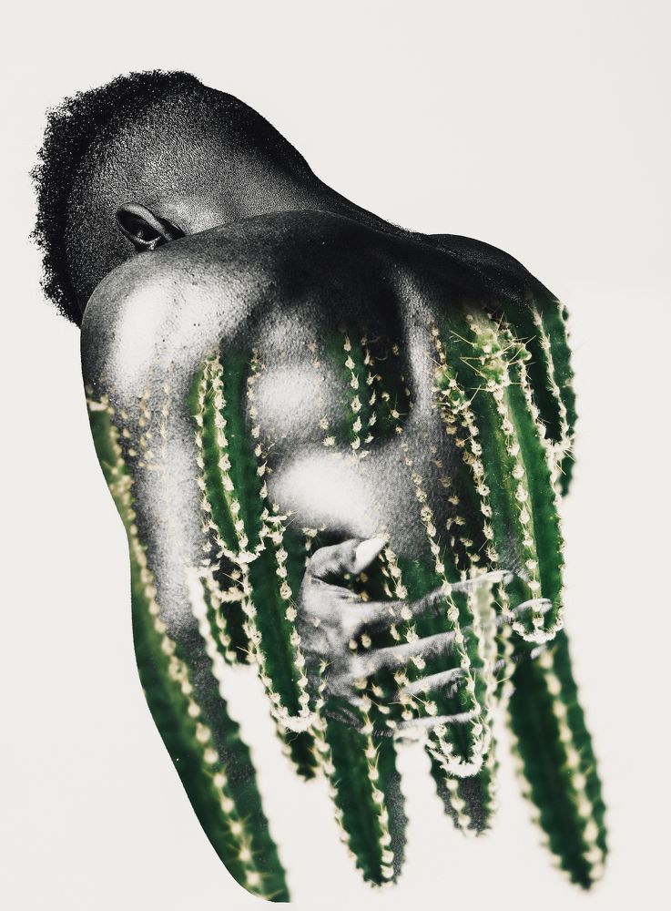 "Seeing Double VIII"