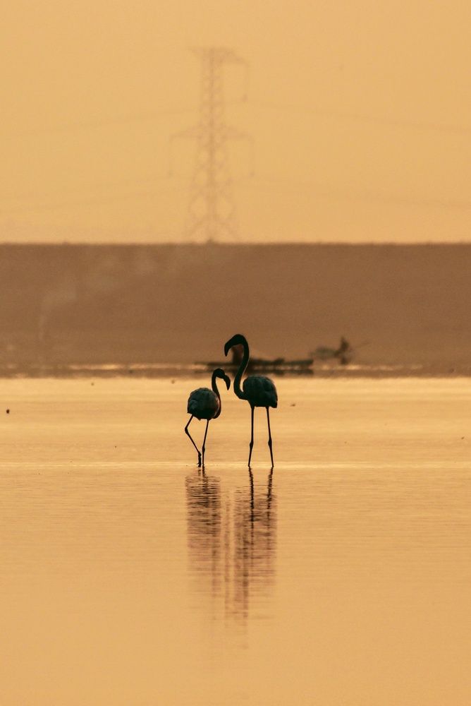 Photograph by Sandip Nalawade