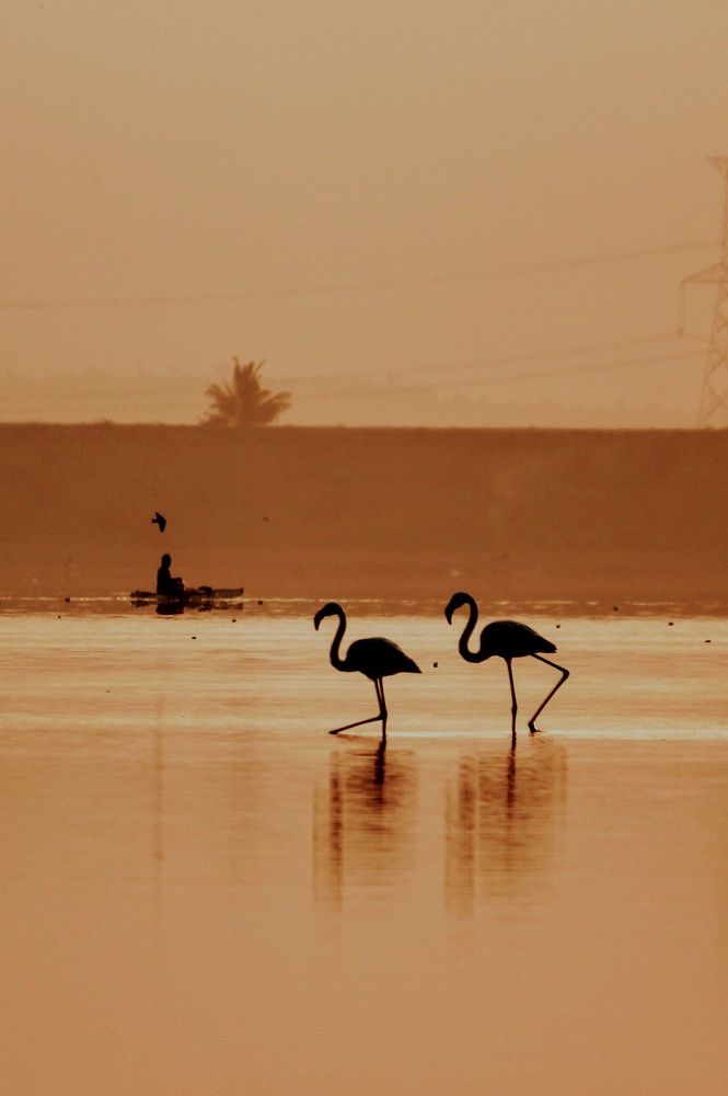 Photograph by Sandip Nalawade