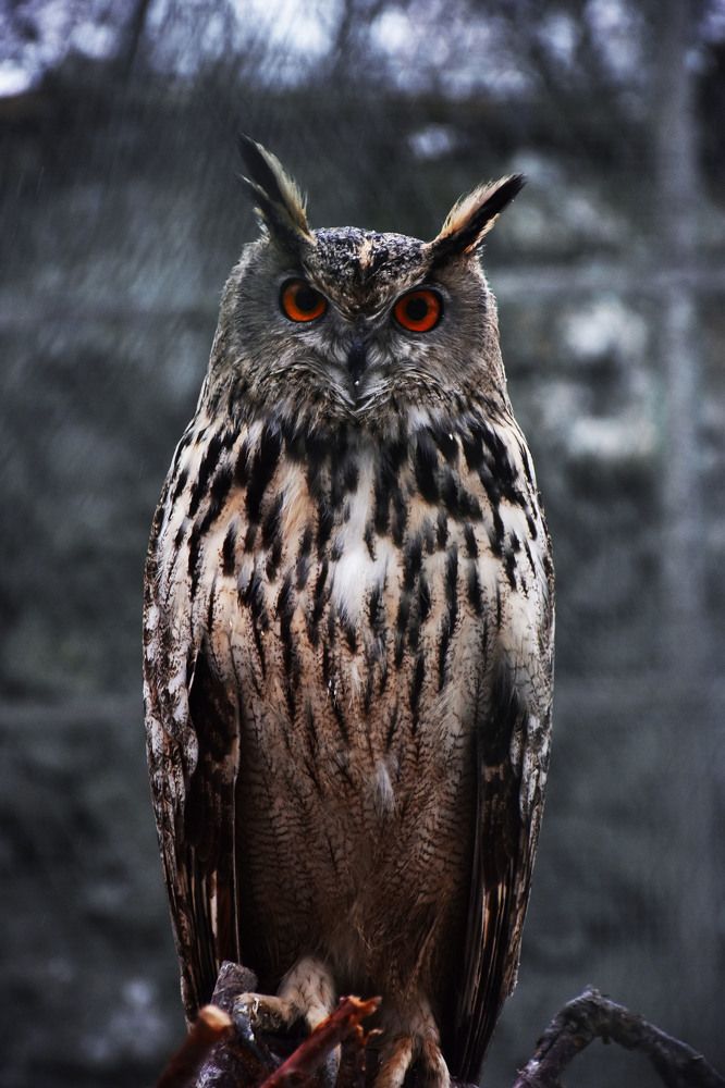 Photograph by Волков Станислав