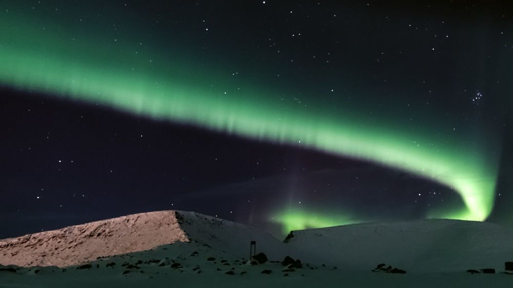 Ее сиятельство