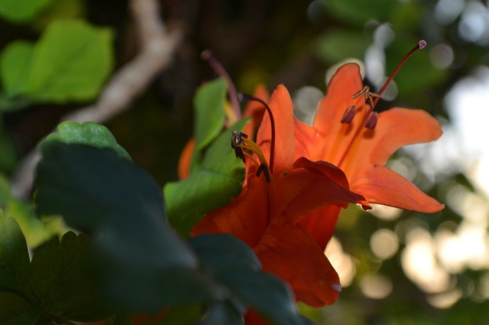 Photograph by Игорь Лебедев