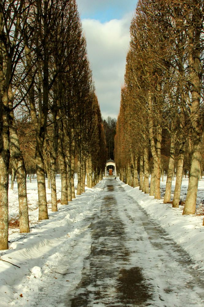 Photograph by Svetlana Guzeeva