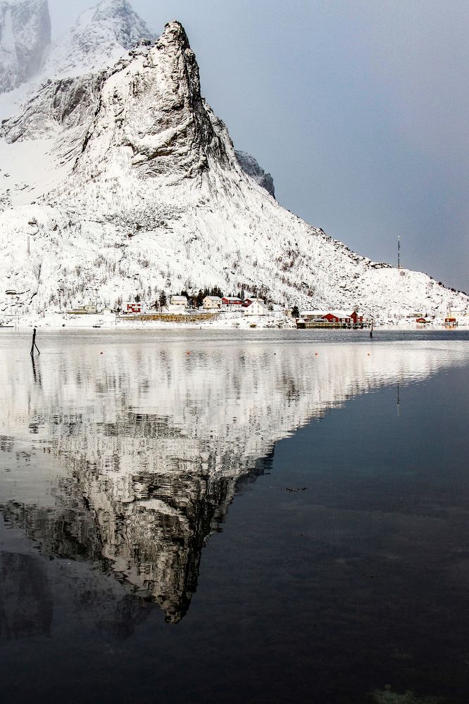 Photograph by Svetlana Guzeeva