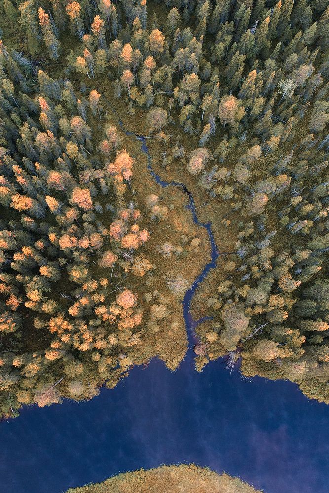 Конец лета в Карелии