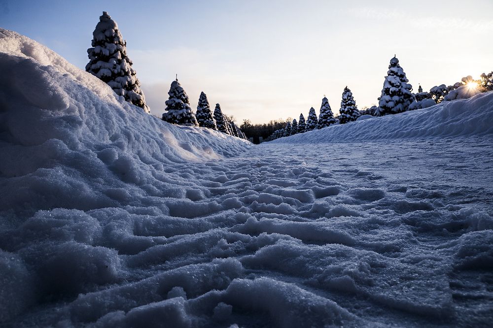 Ораниенбаум