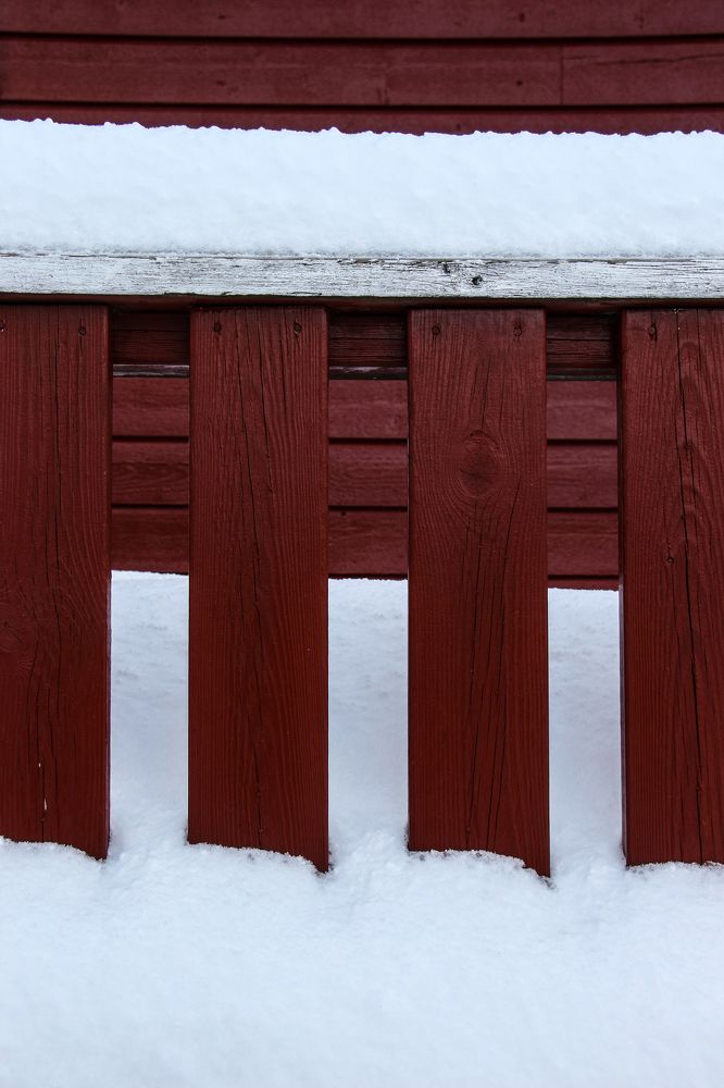 Photograph by Svetlana Guzeeva