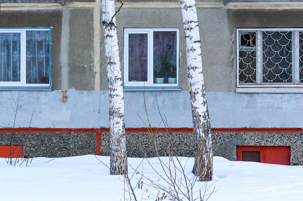 Березовое окно