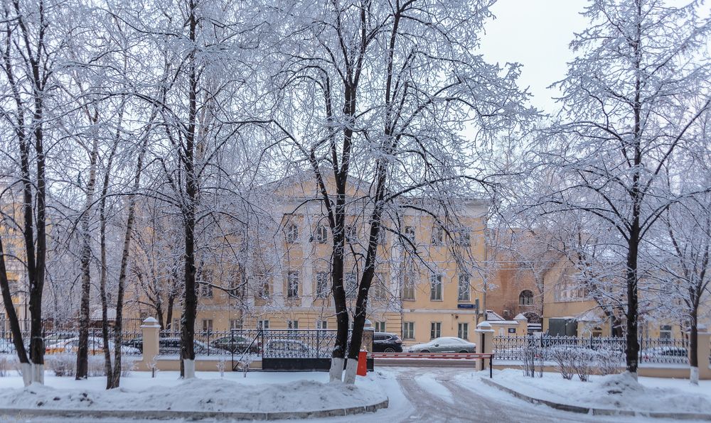 "Всё тот же вид из моего окона...."©