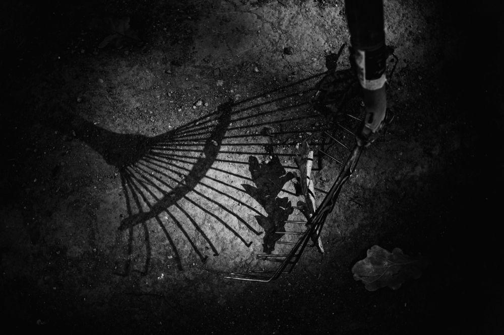 Photograph by Olesya Mikhailova